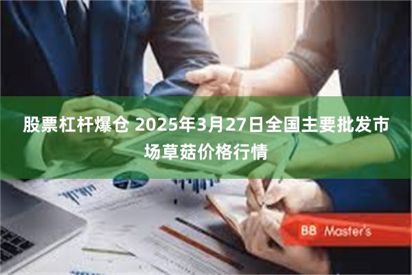 股票杠杆爆仓 2025年3月27日全国主要批发市场草菇价格行情