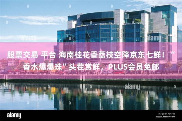 股票交易 平台 海南桂花香荔枝空降京东七鲜！“香水爆爆珠”头茬赏鲜，PLUS会员免邮