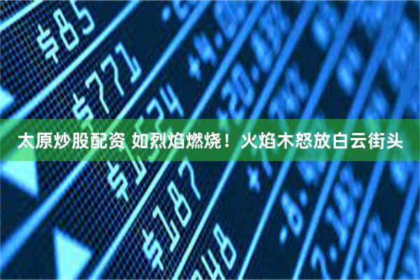 太原炒股配资 如烈焰燃烧！火焰木怒放白云街头