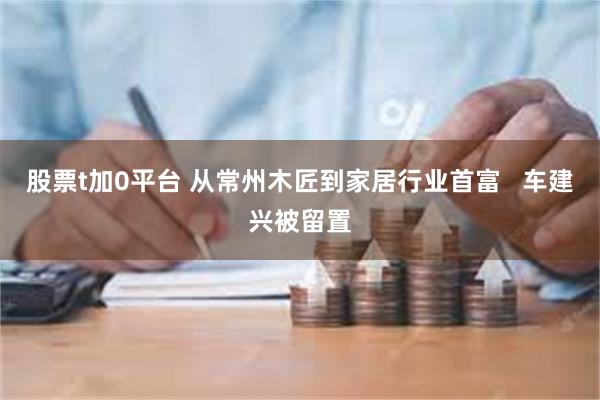股票t加0平台 从常州木匠到家居行业首富   车建兴被留置