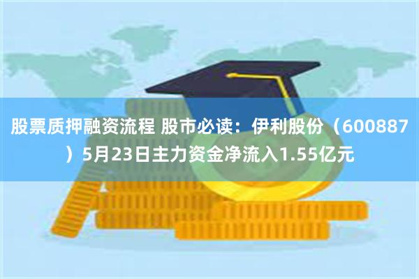 股票质押融资流程 股市必读：伊利股份（600887）5月23日主力资金净流入1.55亿元