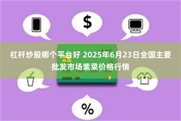 杠杆炒股哪个平台好 2025年6月23日全国主要批发市场紫菜价格行情