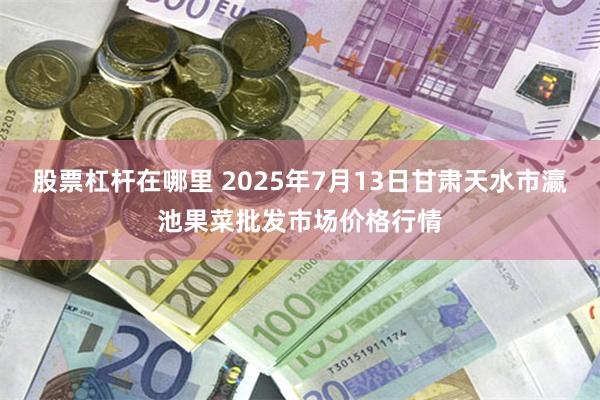 股票杠杆在哪里 2025年7月13日甘肃天水市瀛池果菜批发市场价格行情